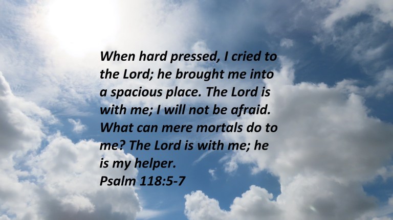 © Photo Artist Susan Ruth Robertson 090025006100 SX70HS 163 - Copy