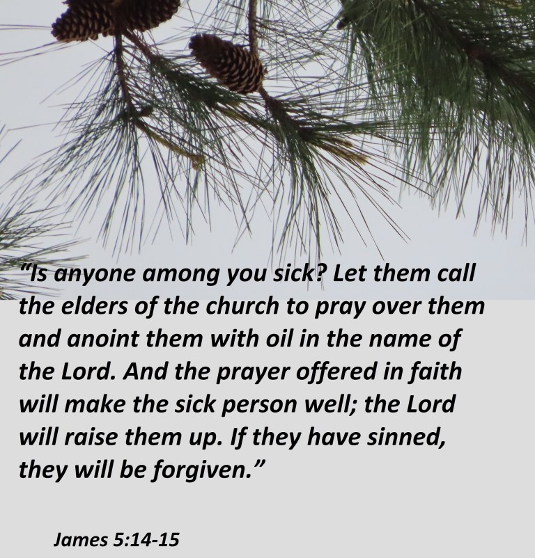 © Photo Artist Susan Ruth Robertson 090025006100 SX70HS 176 - Copy