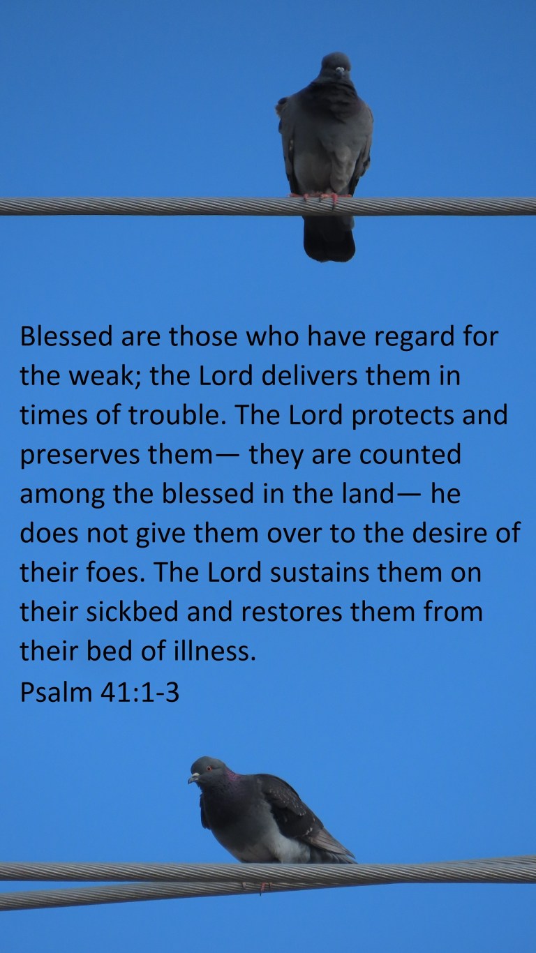 © Photo Artist Susan Ruth Robertson 090025006100 SX70HS 180 - Copy