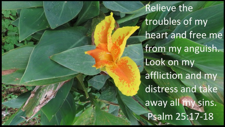 © Photo Artist Susan Ruth Robertson 090025006100 SX70HS 219 - Copy