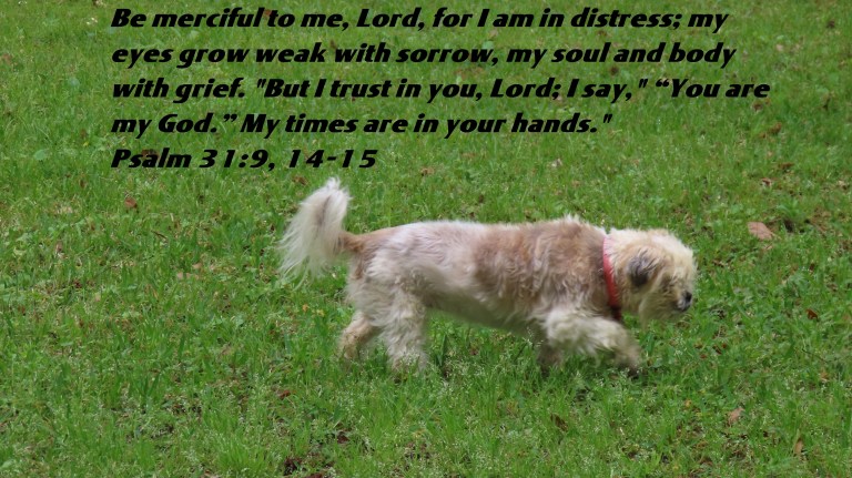 © Photo Artist Susan Ruth Robertson 090025006100 SX70HS 222 - Copy