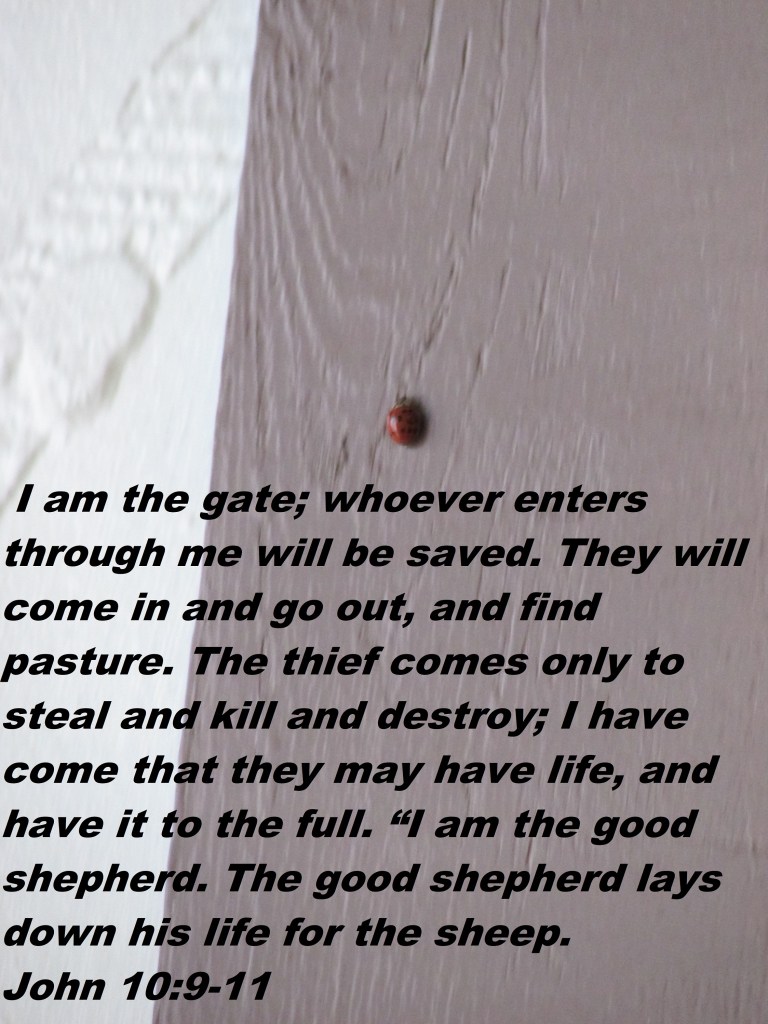 © Photo Artist Susan ruth Robertson 09002500100 008 - Copy - Copy