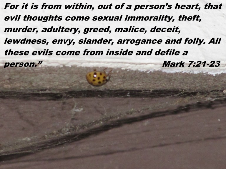 © Photo Artist Susan ruth Robertson 09002500100 015