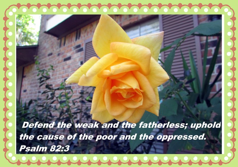 © Photo Artist Susan Ruth Robertson 090025006100 016 - Copy