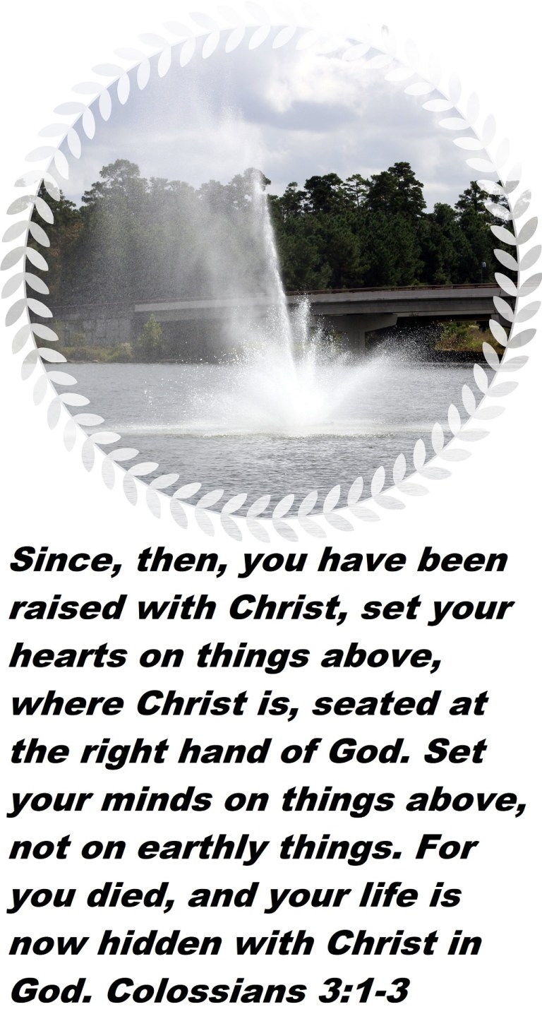 © Photo Artist Susan Ruth Robertson 090025006100 018 - Copy