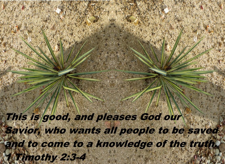 © Photo Artist Susan Ruth Robertson 090025006100 028 - Copy