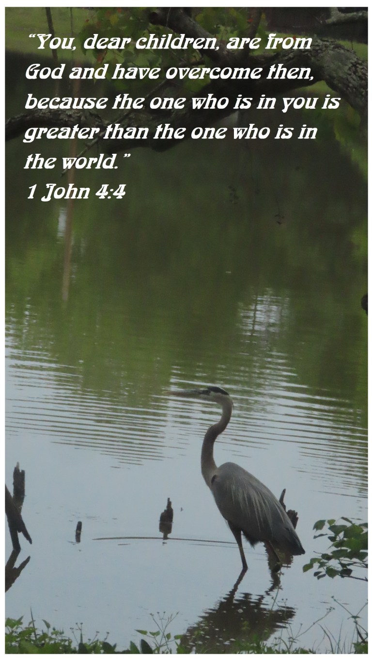 © Photo Artist Susan Ruth Robertson 090025006100 SX70HS 023 - Copy