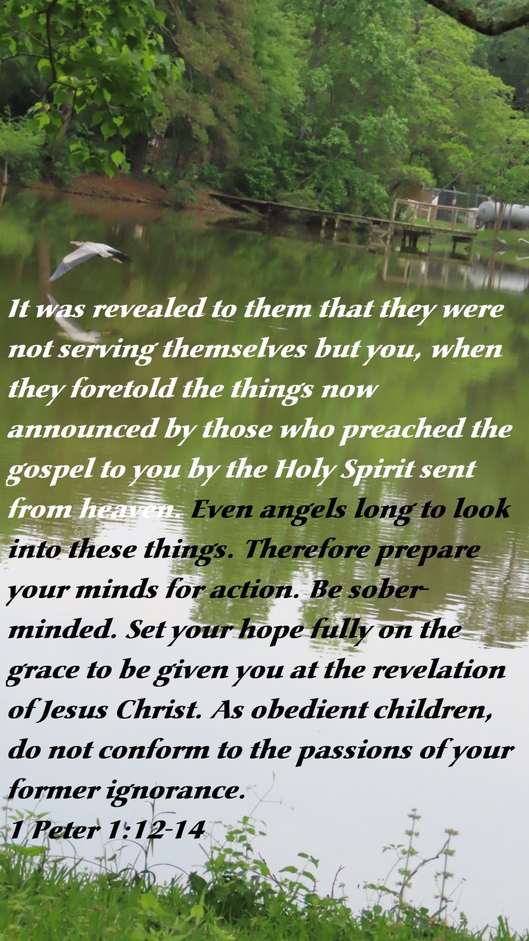 © Photo Artist Susan Ruth Robertson 090025006100 SX70HS 026 - Copy