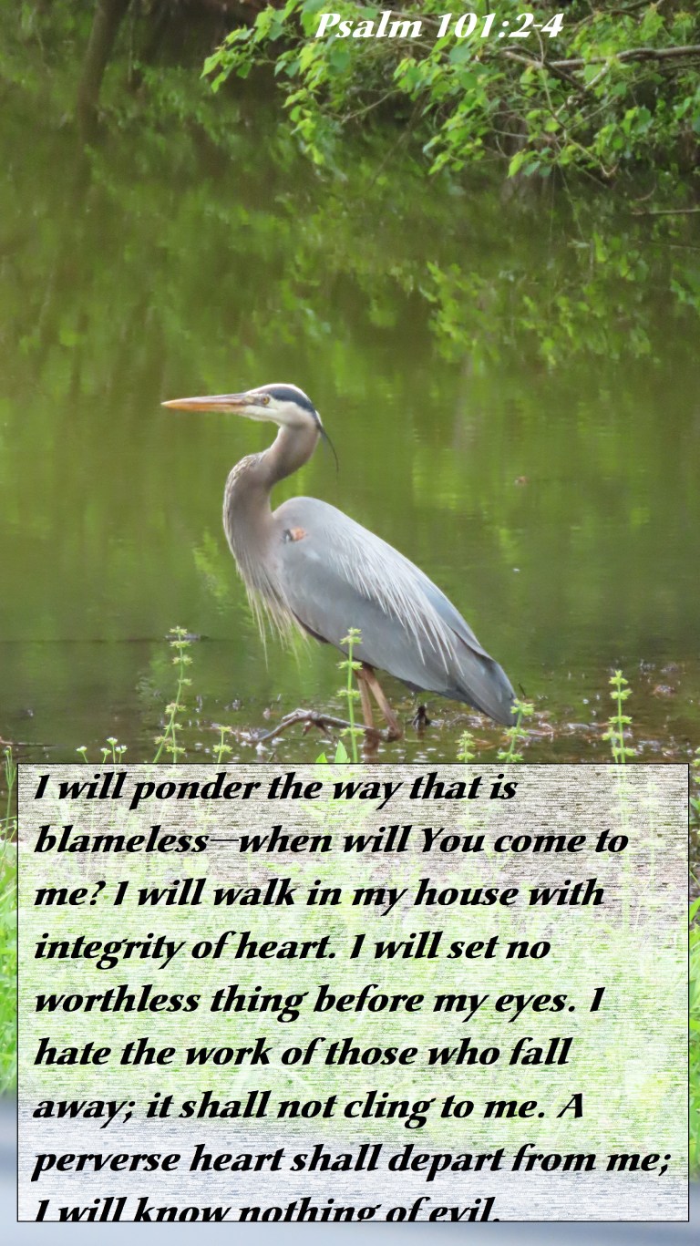 © Photo Artist Susan Ruth Robertson 090025006100 SX70HS 040 - Copy