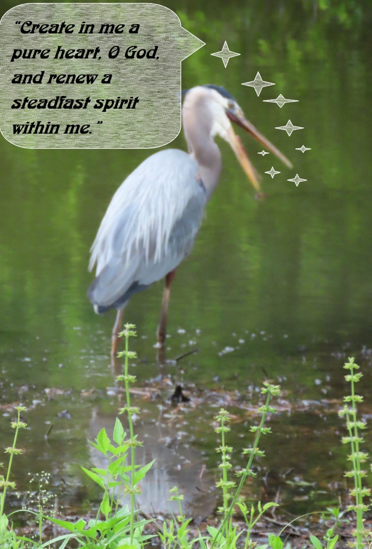 © Photo Artist Susan Ruth Robertson 090025006100 SX70HS 045 - Copy