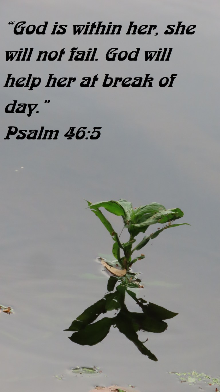 © Photo Artist Susan Ruth Robertson 090025006100 SX70HS 048 - Copy