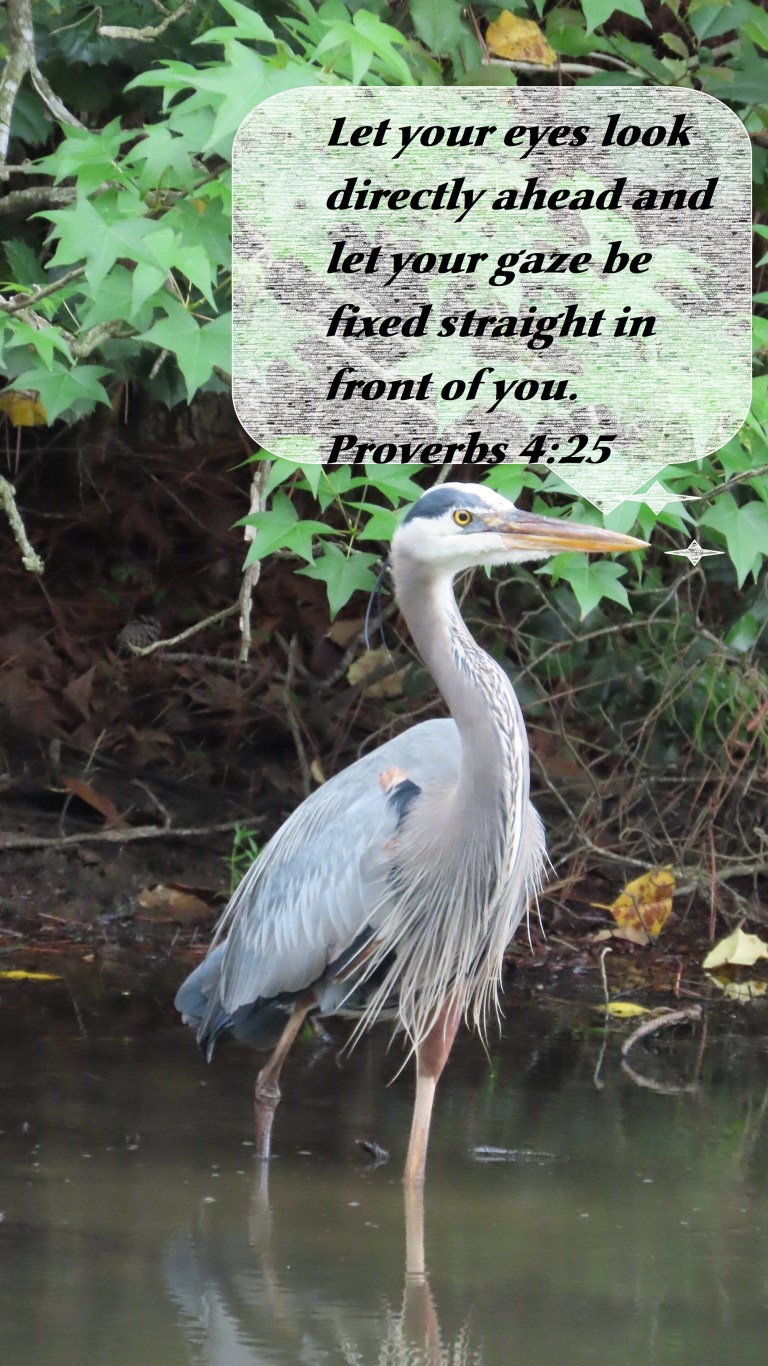 © Photo Artist Susan Ruth Robertson 090025006100 SX70HS 067 - Copy