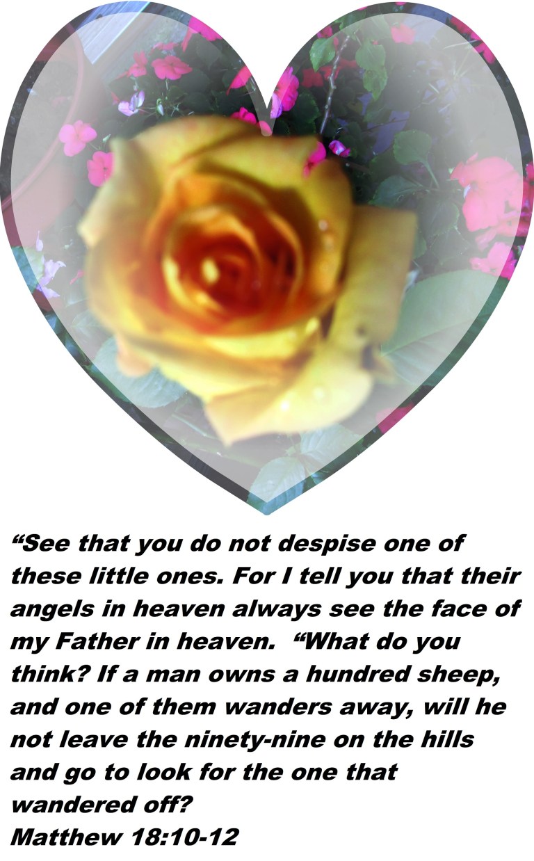 © Photo Artist Susan Ruth Robertson 090025006100 012 - Copy