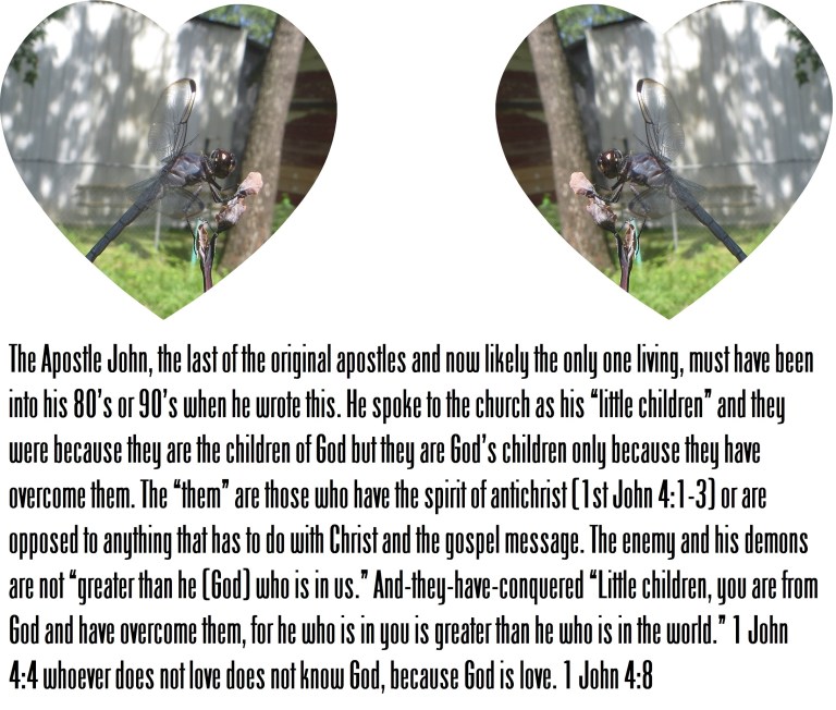 © Photo Artist Susan Ruth Robertson 090025006100 029 - Copy (2)