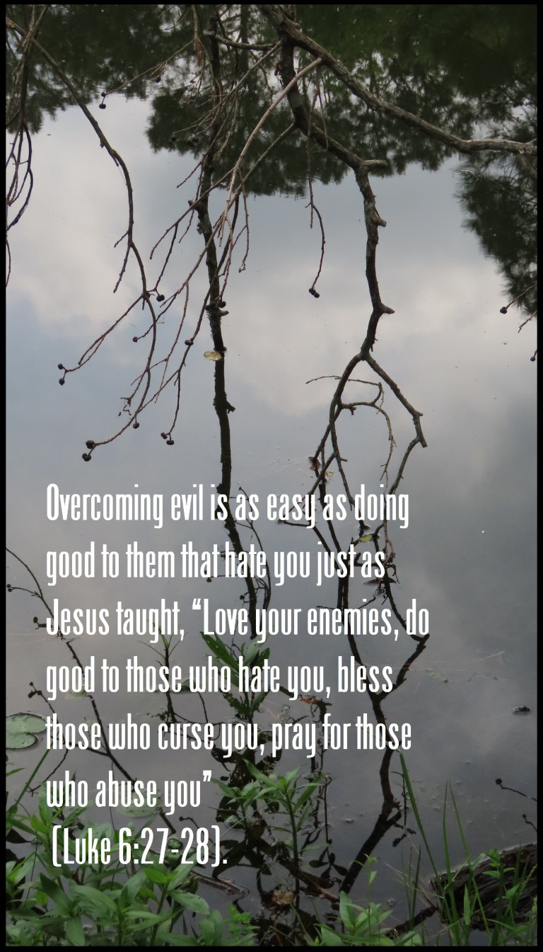 © Photo Artist Susan Ruth Robertson 090025006100 PowerShot SX70 HS 061