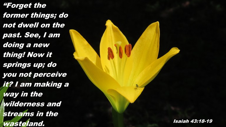 © Photo Artist Susan Ruth Robertson 090025006100SX70HS 012 - Copy