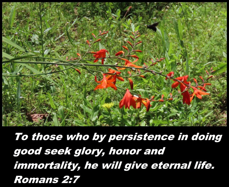 © Photo Artist Susan Ruth Robertson 090025006100SX70HS 020 - Copy