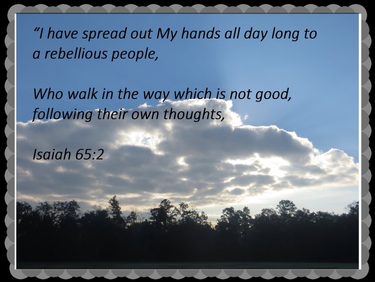 © Photo Artist Susan Ruth Robertson 090025006100 006 - Copy (4)