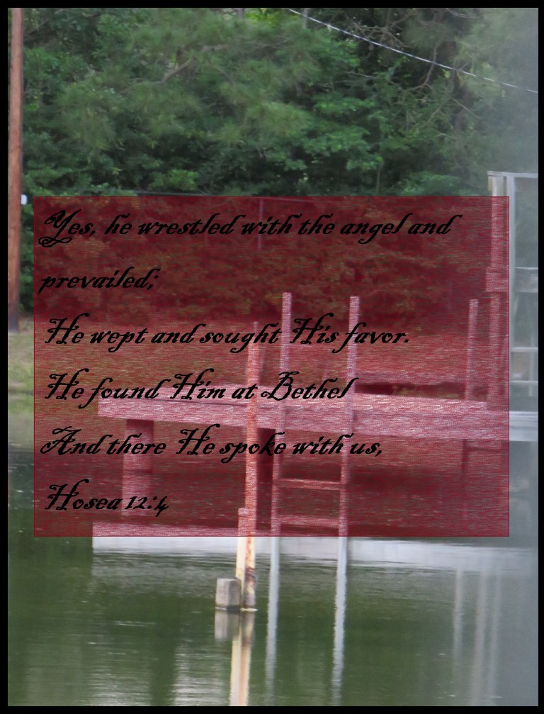 © Photo Artist Susan Ruth Robertson 090025006100 008