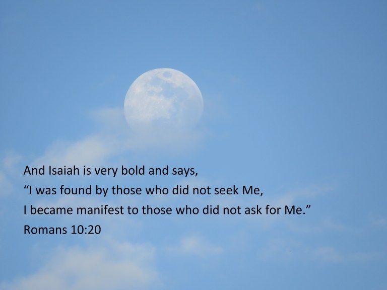 © Photo Artist Susan Ruth Robertson 090025006100 392