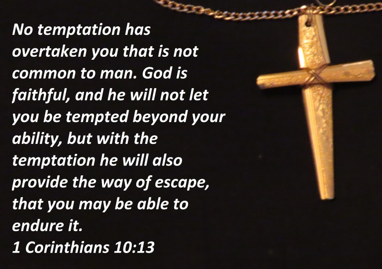 © Photo Artist Susan Ruth Robertson 090025006100 PowerShot SX70 HS 002 - Copy