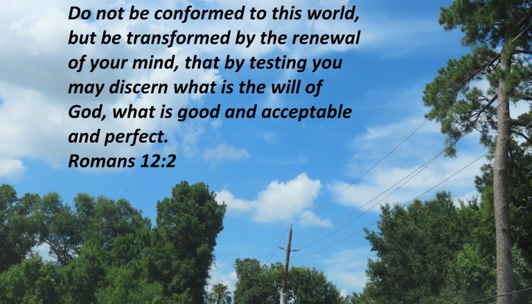 © Photo Artist Susan Ruth Robertson 090025006100 PowerShot SX70 HS 011 - Copy