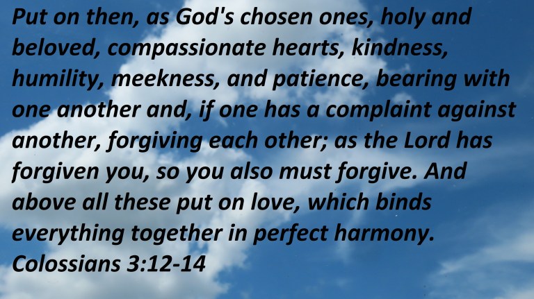 © Photo Artist Susan Ruth Robertson 090025006100 PowerShot SX70 HS 015 - Copy