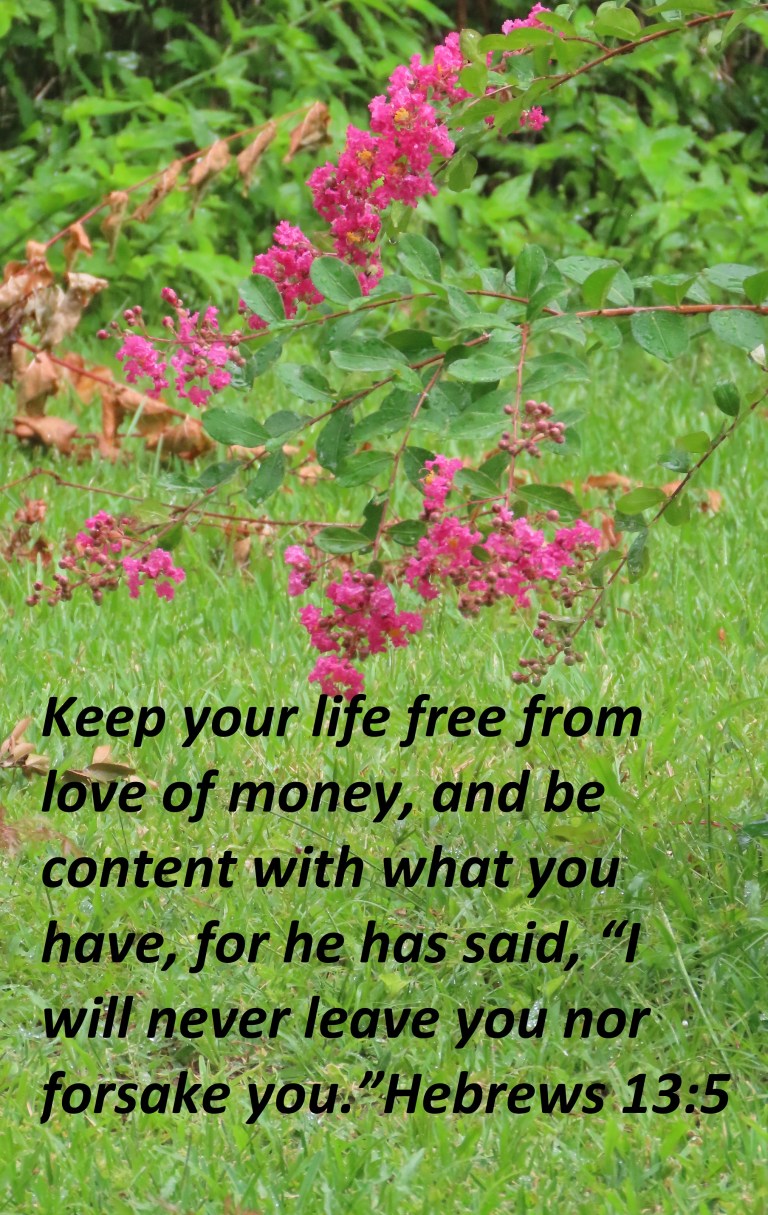 © Photo Artist Susan Ruth Robertson 090025006100 PowerShot SX70 HS 020 - Copy