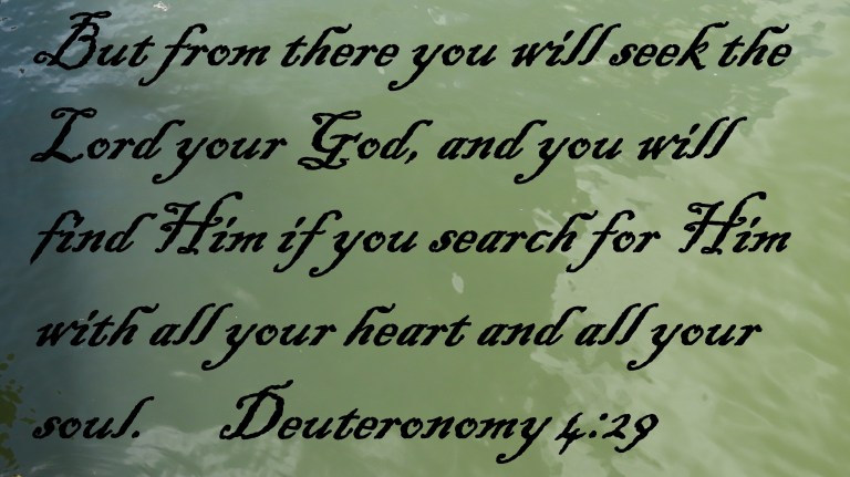 © Photo Artist Susan Ruth Robertson 090025006100 PowerShot SX70 HS 086