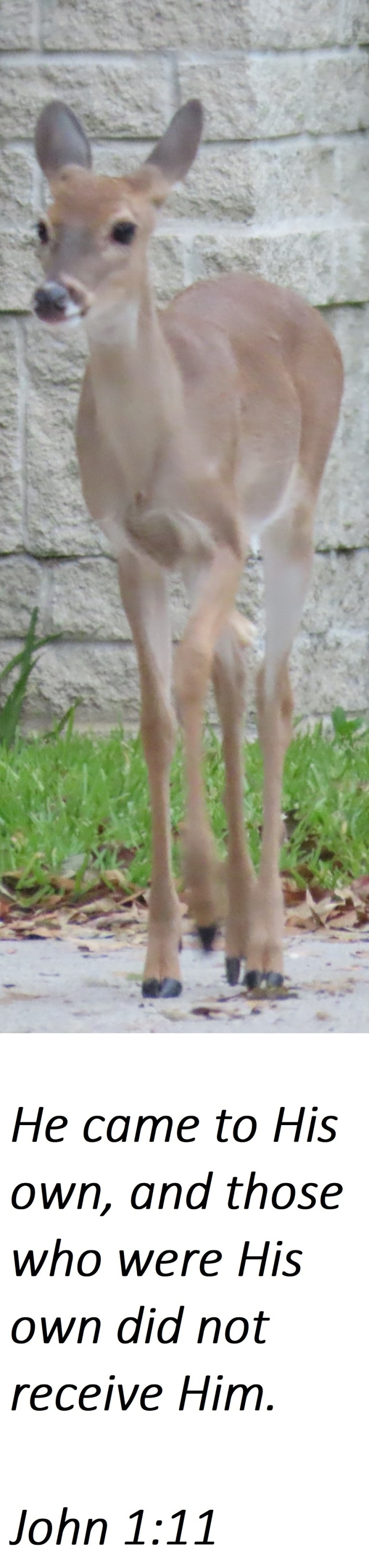 © Photo Artist Susan Ruth Robertson 090025006100 SX70HS 087 - Copy - Copy - Copy - Copy