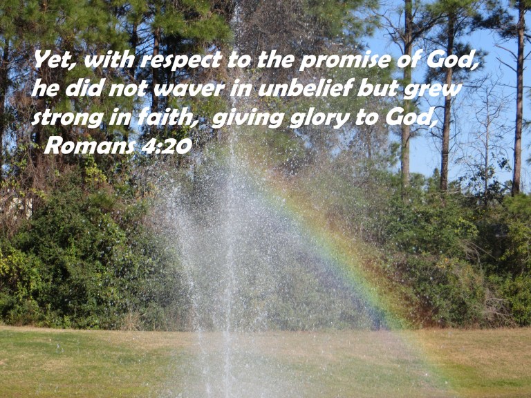 Photo Artist Susan Robertson all Rights Reserved 029 - Copy