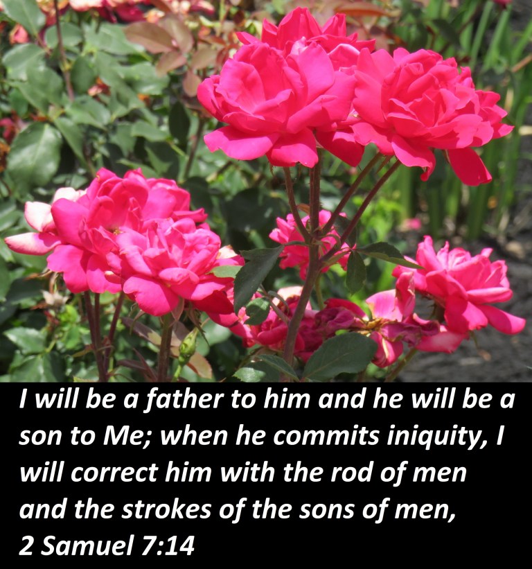 © Photo Artist Susan Ruth Robertson 090025006100 167 - Copy - Copy - Copy