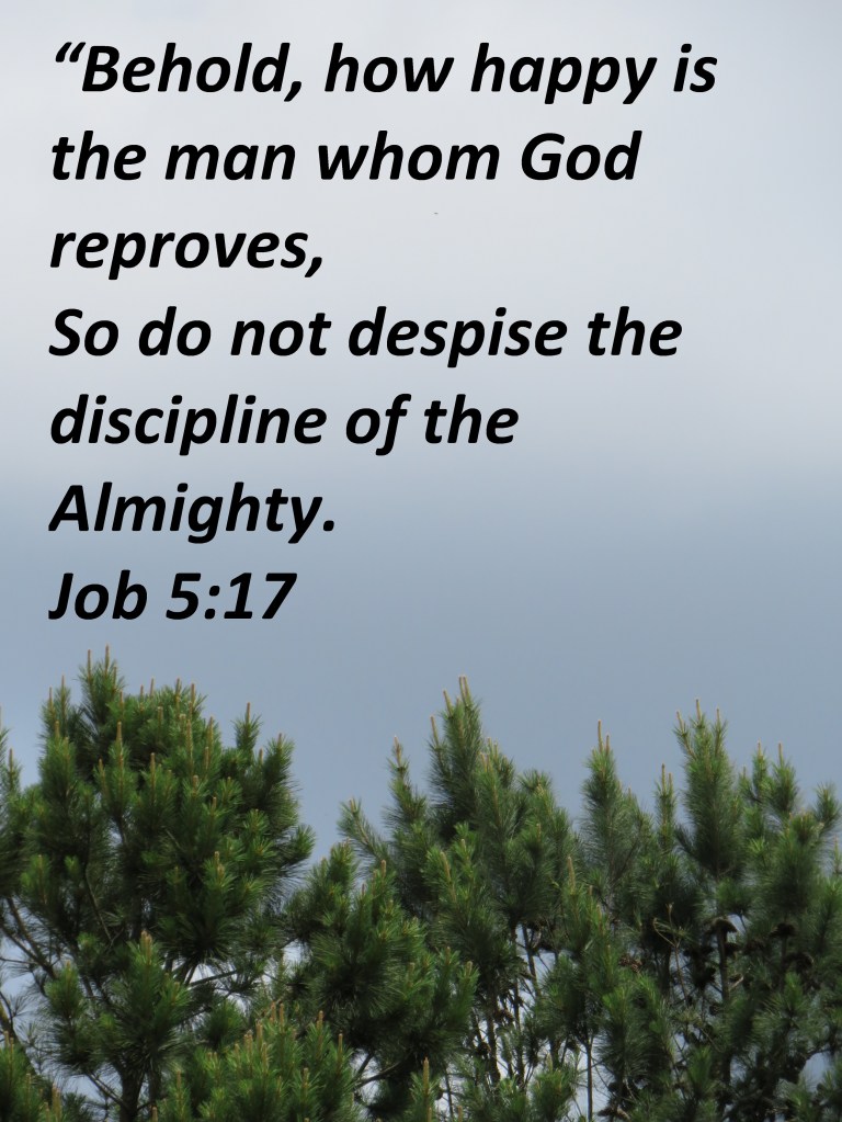 © Photo Artist Susan Ruth Robertson 090025006100 176 - Copy