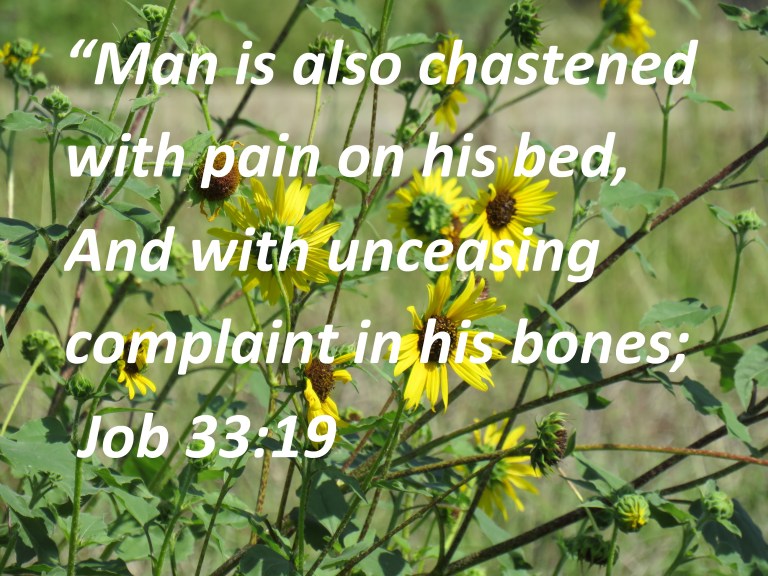 © Photo Artist Susan Ruth Robertson 090025006100 190