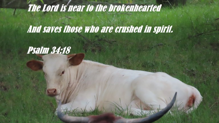 © Photo Artist Susan Ruth Robertson 090025006100SX70HS 034