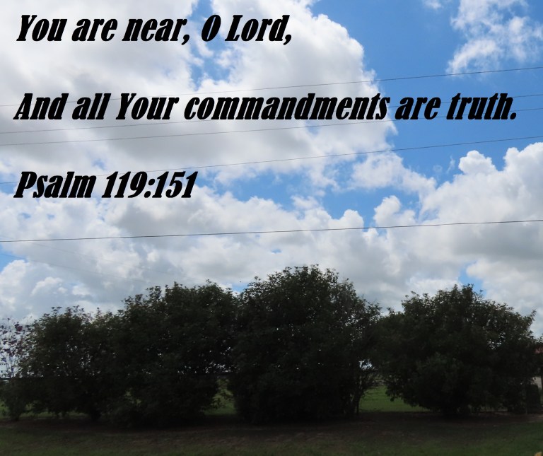 © Photo Artist Susan Ruth Robertson 090025006100SX70HS 052