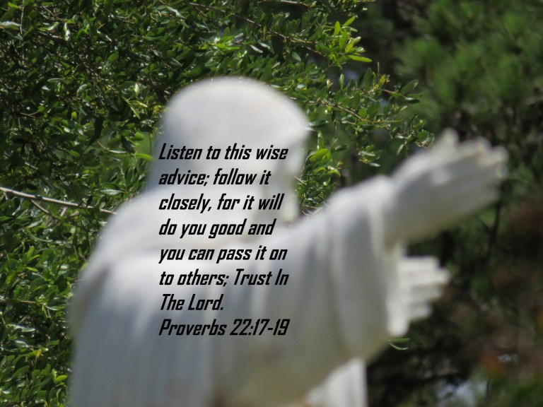 © Photo Artist Susan Ruth Robertson 090025006100 345 - Copy - Copy (2)