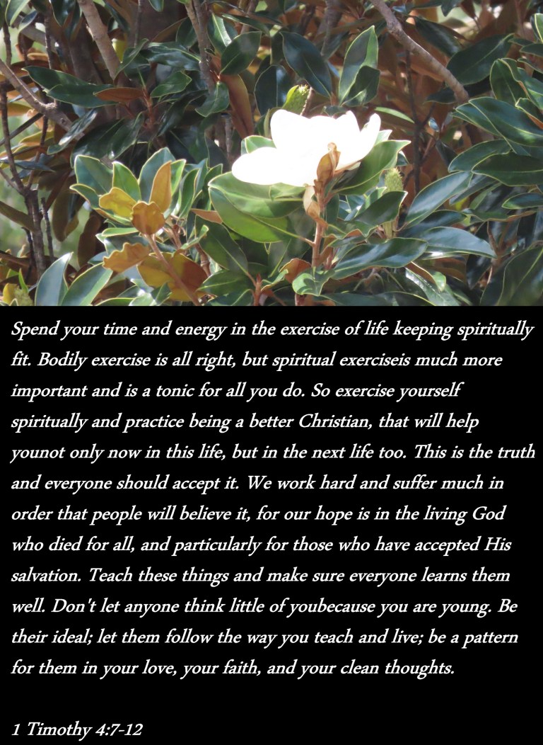 © Photo Artist Susan Ruth Robertson 090025006100 PowerShot SX70 HS 013