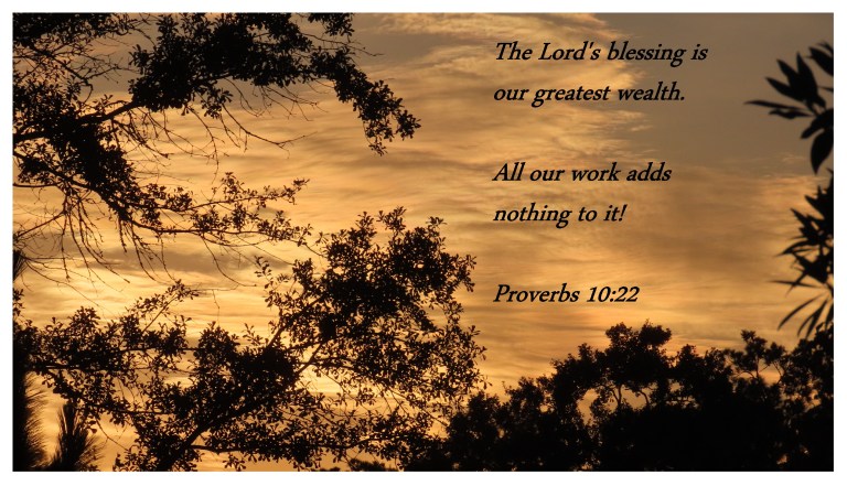 © Photo Artist Susan Ruth Robertson 090025006100 PowerShot SX70 HS 015