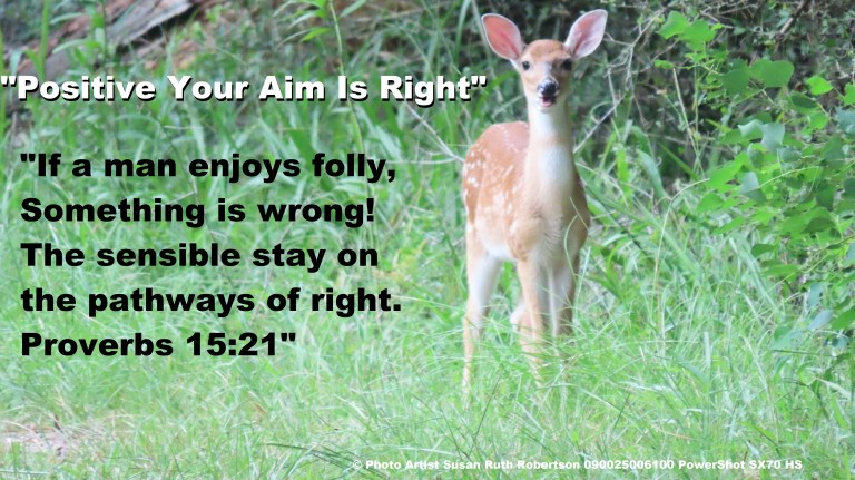 © Photo Artist Susan Ruth Robertson 090025006100 PowerShot SX70 HS 018