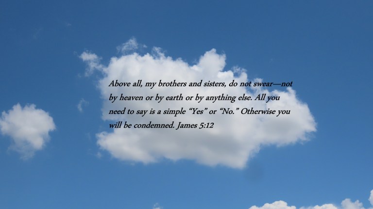 © Photo Artist Susan Ruth Robertson 090025006100 PowerShot SX70 HS 025