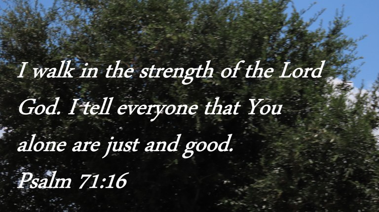 © Photo Artist Susan Ruth Robertson 090025006100 PowerShot SX70 HS 043