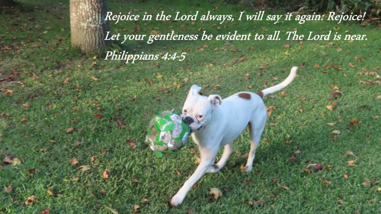 © Photo Artist Susan Ruth Robertson 090025006100 PowerShot SX70 HS 068