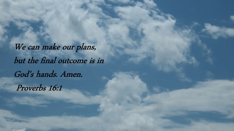 © Photo Artist Susan Ruth Robertson 090025006100 PowerShot SX70 HS 069