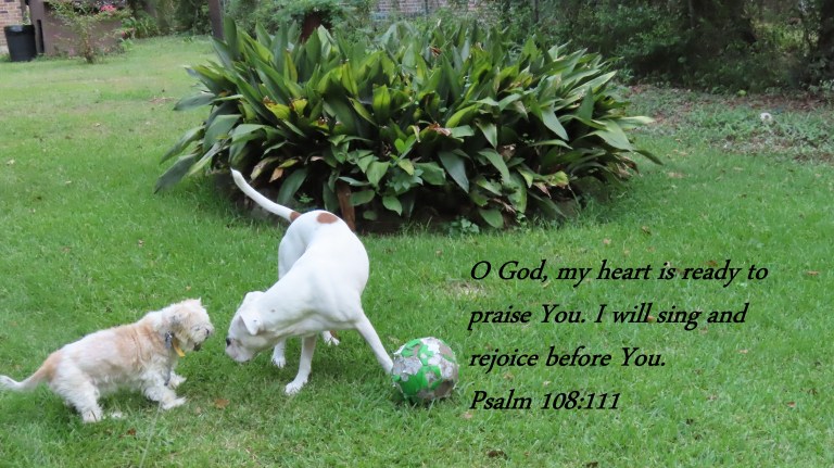 © Photo Artist Susan Ruth Robertson 090025006100 PowerShot SX70 HS 071