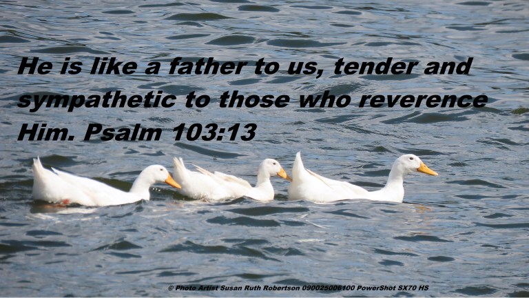 © Photo Artist Susan Ruth Robertson 090025006100 PowerShot SX70 HS 078