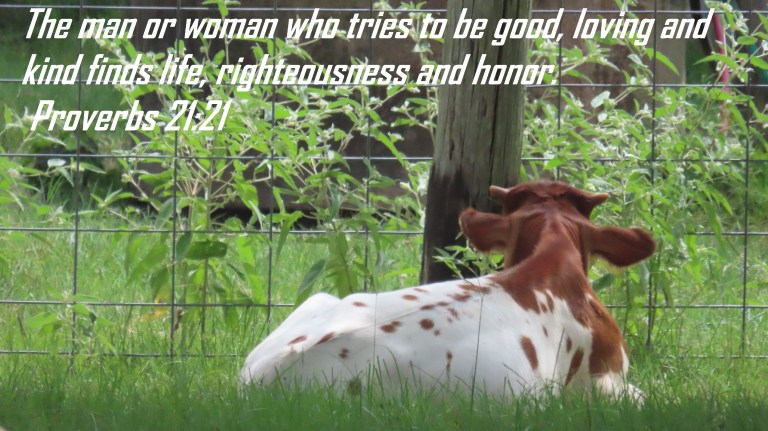 © Photo Artist Susan Ruth Robertson 090025006100SX70HS 023 - Copy