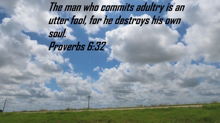 © Photo Artist Susan Ruth Robertson 090025006100SX70HS 045