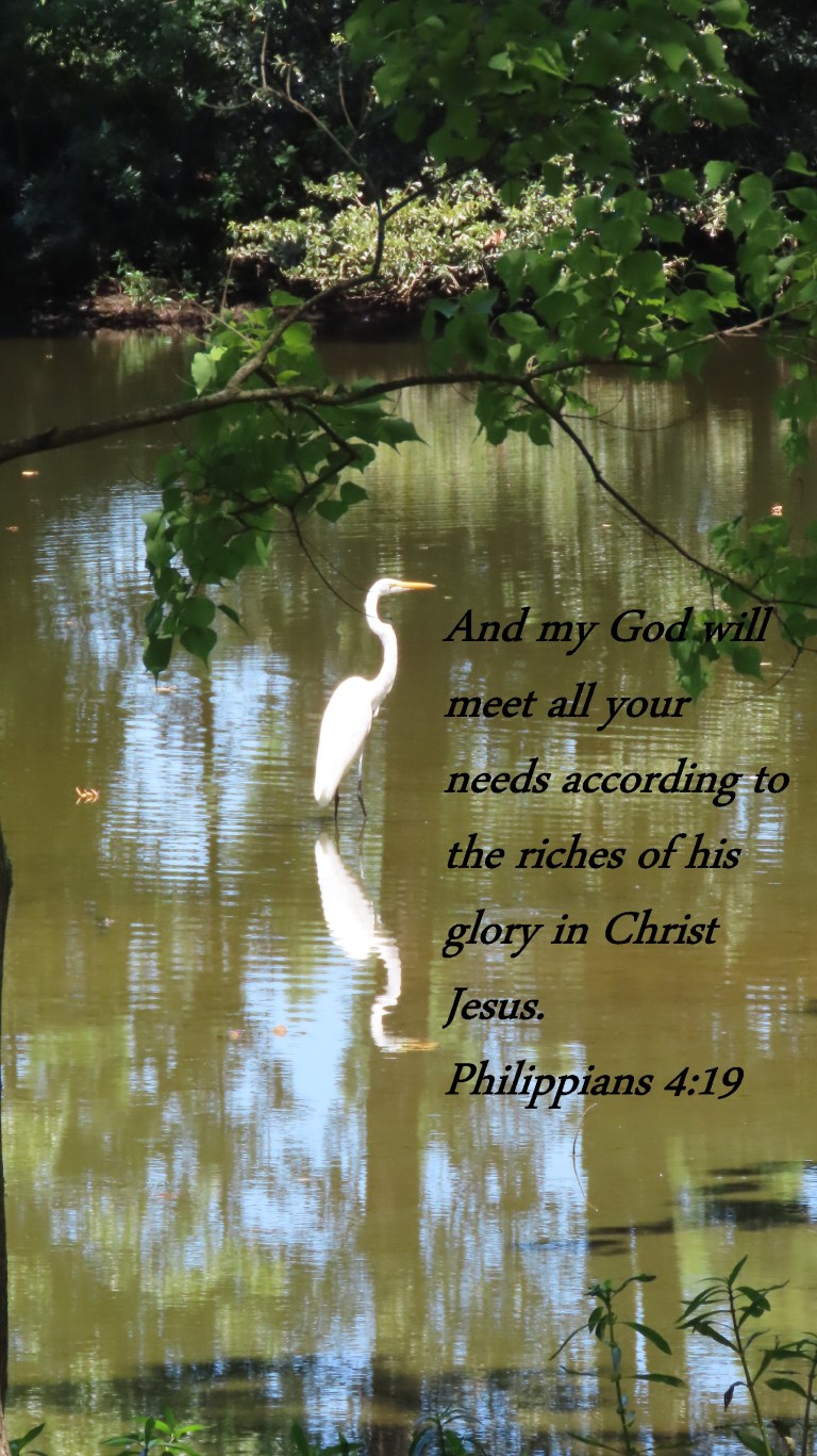 © Photo Artist Susan Ruth Robertson 090025006100 PowerShot SX70 HS 095 - Copy