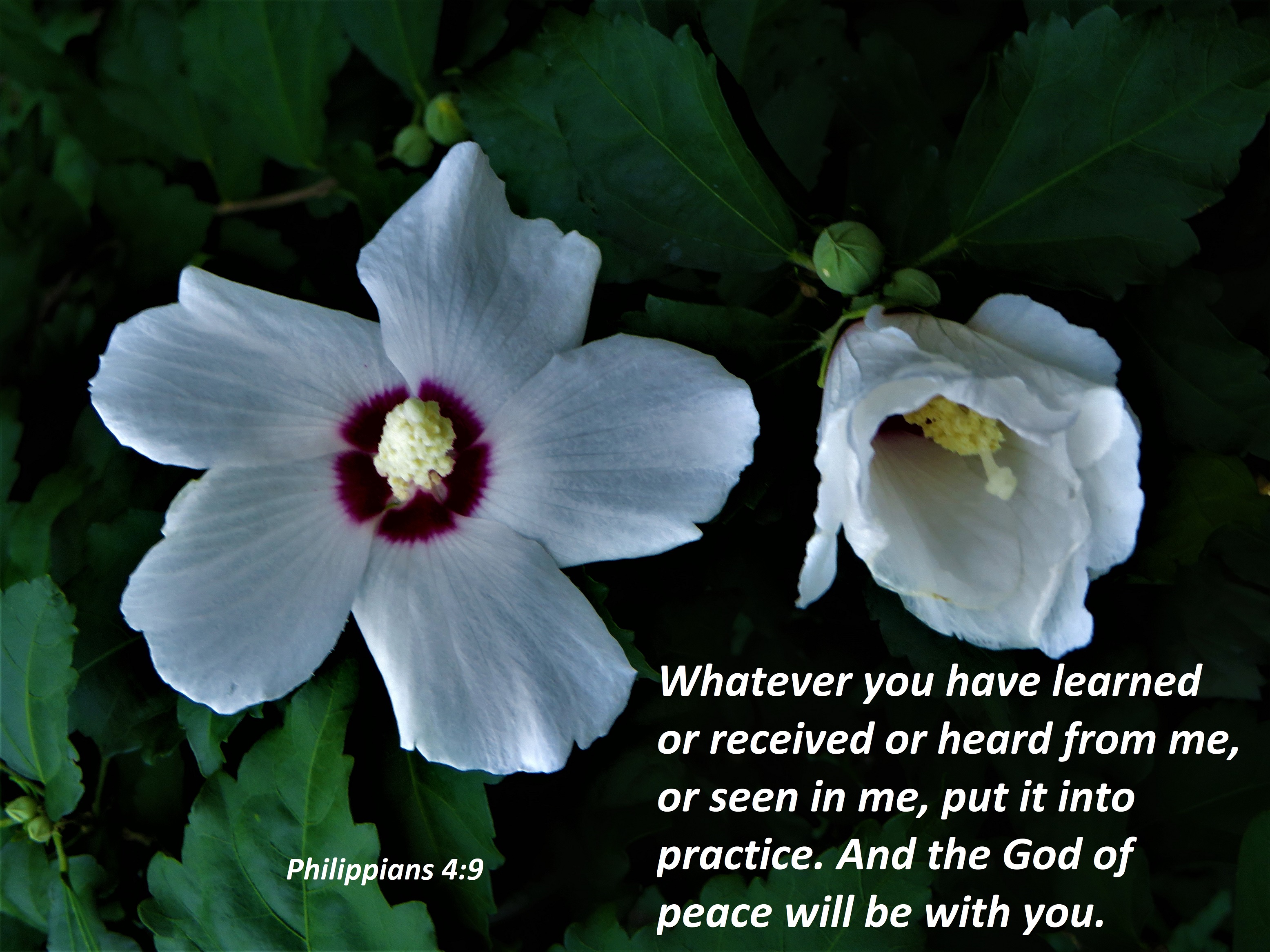 “Practice Makes Perfect” – "Common Sense Of Miracles" "Christian ...